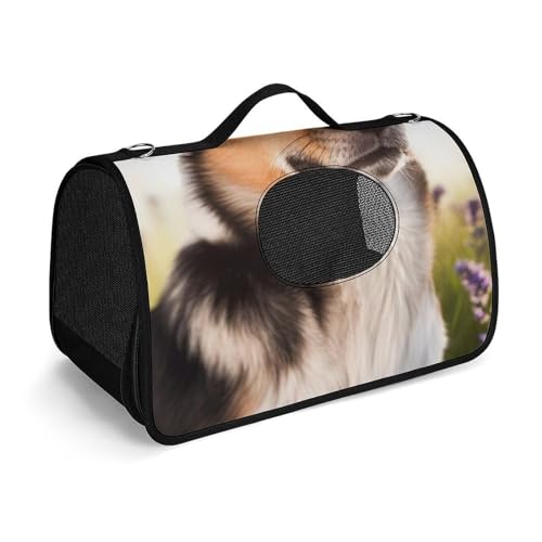 Hundetragetasche, weiche Seiten, Katzentragetasche, tragbare Haustier-Reisetasche, bedruckt, Haustiertasche, faltbare Hundehandtasche für Outdoor, Reisen, Camping von LFDSPYJE