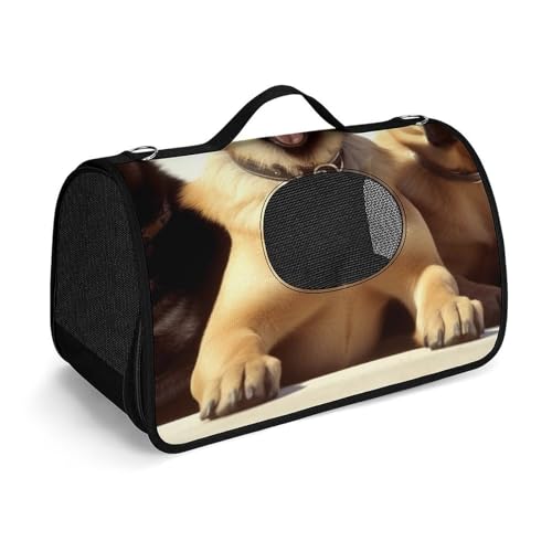 Hundetragetasche, weiche Seiten, Katzentragetasche, tragbare Haustier-Reisetasche, bedruckt, Haustiertasche, faltbare Hundehandtasche für Outdoor, Reisen, Camping von LFDSPYJE