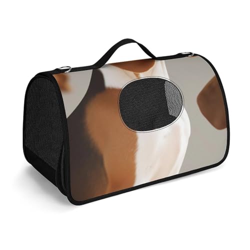 Hundetragetasche mit weichen Seiten, tragbare Haustier-Reisetasche, Beagle-Doggy, bedruckte Haustiertasche, faltbare Hundehandtasche für Outdoor, Reisen, Camping von LFDSPYJE