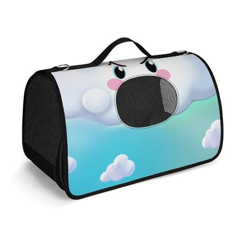 Hundetragetasche mit weichen Seiten, tragbare Haustier-Reisetasche, Cartoon, lächelnde Wolke, Regenbogen, bedruckte Haustiertasche, faltbare Hundehandtasche für Outdoor, Reisen, Camping von LFDSPYJE