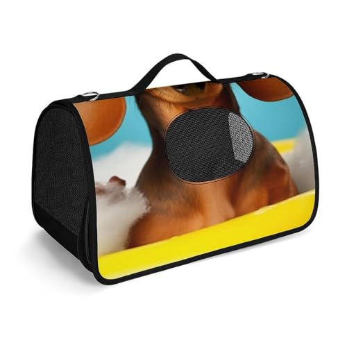 Hundetragetasche mit weichen Seiten, tragbare Haustier-Reisetasche, Dackel, Hund, bedruckte Haustiertasche, faltbare Hundehandtasche für Outdoor, Reisen, Camping von LFDSPYJE