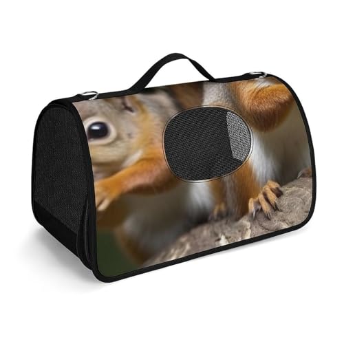 Hundetragetasche mit weichen Seiten, tragbare Haustier-Reisetasche, Eichhörnchen, Tierdruck, Haustiertasche, faltbare Hundehandtasche für Outdoor, Reisen, Camping von LFDSPYJE