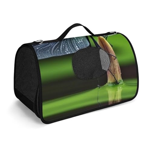 Hundetragetasche mit weichen Seiten, tragbare Haustier-Reisetasche, Libellen-Modus, bedruckte Haustiertasche, faltbare Hundehandtasche für Outdoor, Reisen, Camping von LFDSPYJE