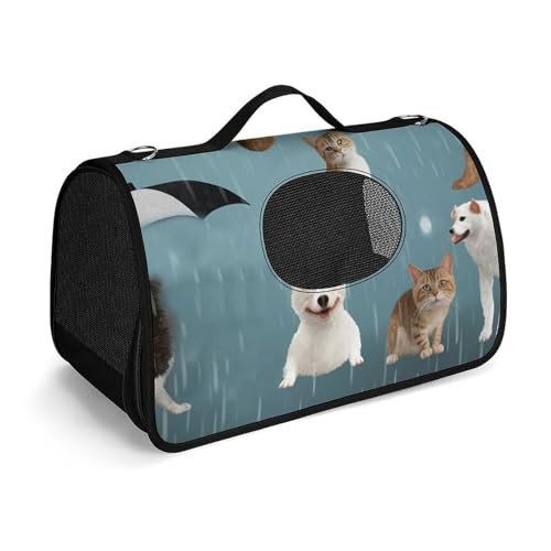 Hundetragetasche mit weichen Seiten, tragbare Haustier-Reisetasche, für Regen, Katzen und Hunde, bedruckte Haustiertasche, faltbare Hundehandtasche für Outdoor, Reisen, Camping von LFDSPYJE