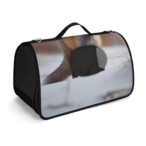 Hundetragetasche mit weichen Seiten, tragbare Haustier-Reisetasche, niedlicher Fuchs, bedruckte Haustiertasche, faltbare Hundehandtasche für Outdoor, Reisen, Camping von LFDSPYJE