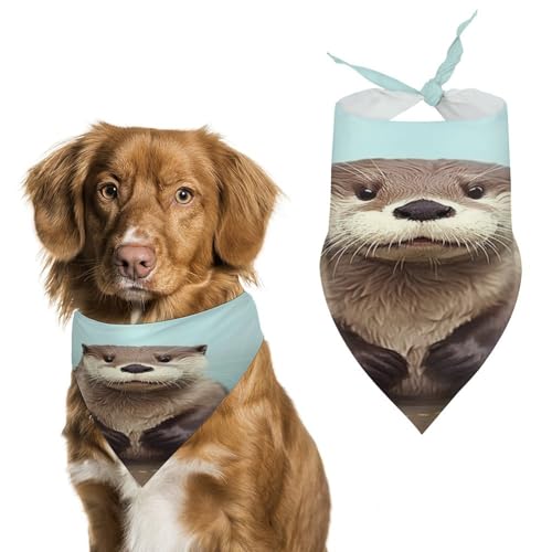 Halstücher für Hunde und Hunde, niedliches Otter-Design, waschbar, bedruckt, Dreieckstuch für Hunde oder Katzen von LFDSYEOQ