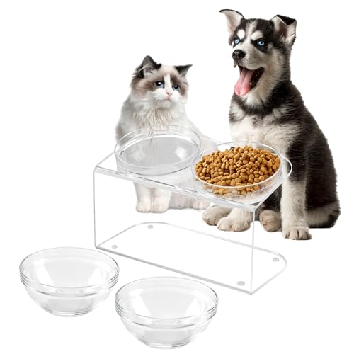 LFTYTUO Durchsichtige Futternäpfe aus Acryl, erhöht, um 15 ° geneigt, Set für Futter Wasser, Futter-Haustiernäpfe Ständer mit 2 Sets Glasschalen und Kunststoffnäpfen, erhöhtes Geschirrregal, geeignet von LFTYTUO