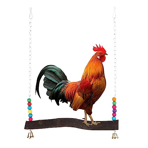Hühner-Schaukelspielzeug für Hühner, Sitzstange (31 x 2 x 2 cm), Kettengröße 30 cm, passend für Hühner oder mittelgroße und große Vögel von LGEGE