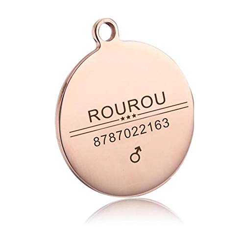 LIANYG Hundemarke 2 stücke Gravur Haustier ID Tag Edelstahl Hund Katze Name Tags Kragen Zubehör Anhänger, Silber Gold Rose Gold Schwarz 641 (Color : Circle Rose Gold, Size : L) von LIANYG