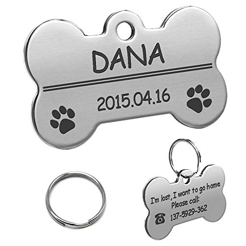 LIANYG Hundemarke 2 stücke personalisierte Dog id Tag Edelstahl maßgeschneiderte Dog Tags gravierte Haustiername Geburtstag Telefonnummer und Geschlecht mit Ring 641 (Color : Silver, Size : L) von LIANYG