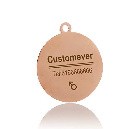 LIANYG Hundemarke Benutzerdefinierte Hunde-Tags in Rose Gold Silber oder schwarz Gravierter Edelstahl PET-ID-Katzen-Tag-Tag-Name Hundeknochen Personalisiertes Hundekragen-Tag 641 von LIANYG