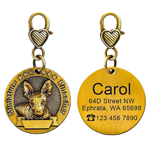 LIANYG Hundemarke Personalisierte Hunde-ID-Tag Hunde-Tags-Namensschild Anti-Lost-Gravur-Haustier-Anhänger für Halsband Halskette Kupfer plattiert 641 von LIANYG