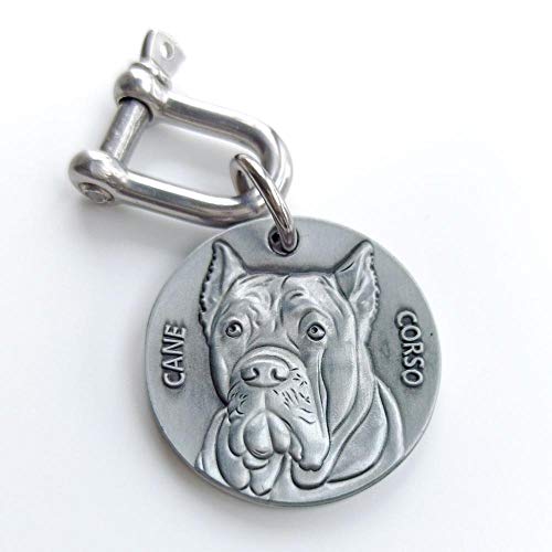 LIANYG Hundemarke Personalisierte Mittelgroße Dog ID-Tag Tiefe Gravierte Kupfer-Nickel Für Große Hundekragen-Shepherd Pit Bull Terrier Labrador 641 (Color : Cane Corso, Size : 34mm (1.34 inch)) von LIANYG