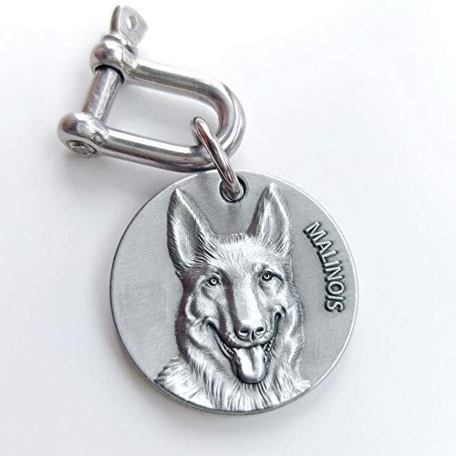 LIANYG Hundemarke Personalisierte Mittelgroße Dog ID-Tag Tiefe Gravierte Kupfer-Nickel Für Große Hundekragen-Shepherd Pit Bull Terrier Labrador 641 (Color : Malinois, Size : 34mm (1.34 inch)) von LIANYG