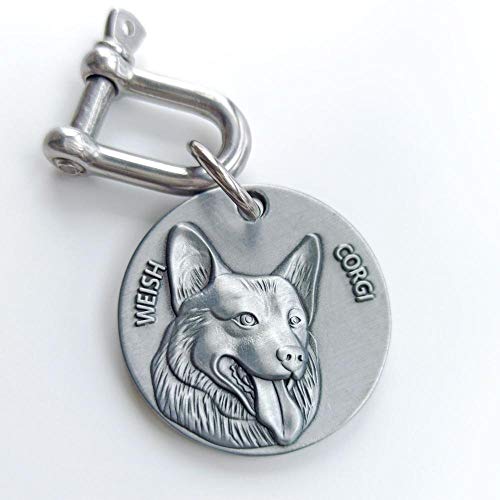 LIANYG Hundemarke Personalisierte Mittelgroße Dog ID-Tag Tiefe Gravierte Kupfer-Nickel Für Große Hundekragen-Shepherd Pit Bull Terrier Labrador 641 (Color : WEISH Corgi, Size : 34mm (1.34 inch)) von LIANYG