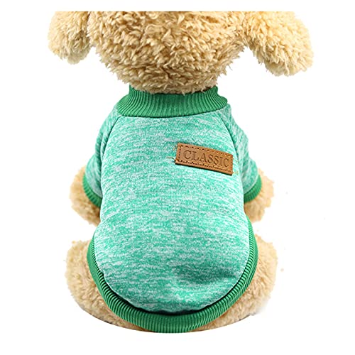 LIANYG Hundepullover Warme Hundekleidung Welpenjacke Mantel Katze Kleidung Hund Pullover Winter Hund Mantel Kleidung for kleine Hunde Chihuahua XS-2XL. Katzenpullover (Color : Green, Size : M) von LIANYG