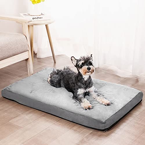 LICHOO Katzenbett, Hundebett, Plüsch-Haustierbett für Katzen und Hunde, Haustiermatte, weiches und bequemes waschbares Bett für Katzen und Hunde, geeignet für Haustiere (89×56×7cm,Hellgrau) von LICHOO