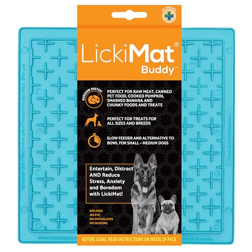 Lickimat Buddy Dog Türkis, 1 Stück (1er Pack) von LICKIMAT