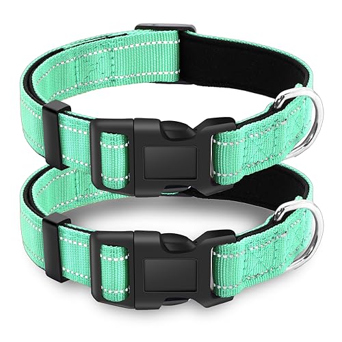 LIEVUIKEN Reflektierendes Hundehalsband mit Sicherheitsschnalle, verstellbar, weich, atmungsaktiv, bequem, Nylon, Haustierhalsband für kleine, mittelgroße und große Hunde, Türkis, Größe XL, 2 Stück von LIEVUIKEN