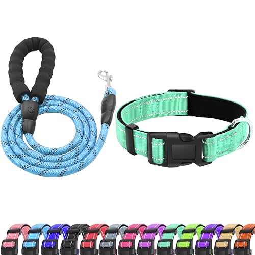 LIEVUIKEN Reflektierendes Hundehalsband mit Sicherheitsverschluss, verstellbar, weich, atmungsaktiv, bequem, Nylon, Haustierhalsband für kleine,50.8 cm, Türkis) von LIEVUIKEN