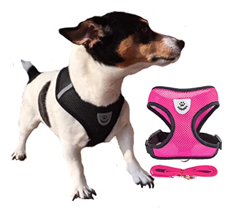 Life Utility Hundegeschirr, XL, Rosa, belüftet, für Hunde / Welpen / Katzen, mit Leine in verschiedenen Farben, Zugschutz, verstellbar, groß und sehr groß, 5 Farben zur Auswahl von LIFE UTILITY