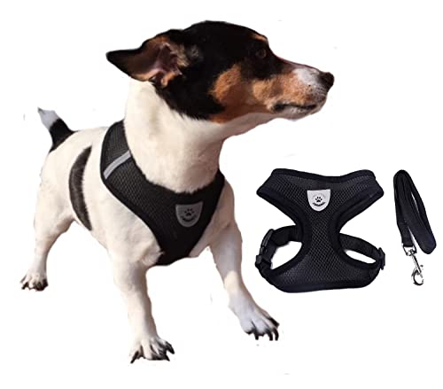 Life Utility Hundegeschirr, XL, schwarz, belüftet, für Hunde/Welpen/Katzen, mit Leine in verschiedenen Farben, Zugschutz, verstellbar, groß und sehr groß, 5 Farben zur Auswahl von LIFE UTILITY