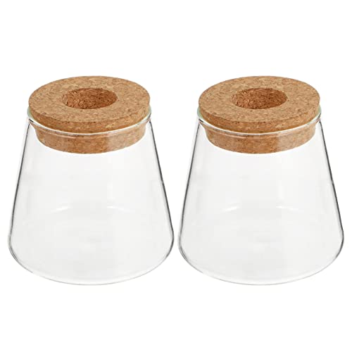 LIFKOME 2st Eco-Flasche Terrarienglas Hängepflanzgefäß Aus Glas Glas-luftpflanzer Minivase Aus Glas Glasterrarium Mit Deckel Pflanzenschneidevase Wasserglas Hölzern Lotus Büro Vasenhalter von LIFKOME