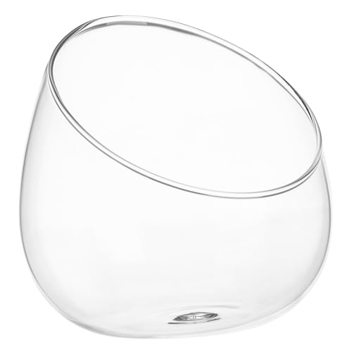 LIFKOME 1stk Luftpflanzenhalter Pflanzgefäß Aus Glas Ökologische Flasche Terrarienvase Terrarium Ornamente -schüssel-vase Glas Terrarium Bonbonschale Klar Die Blase Landschaft Topf von LIFKOME