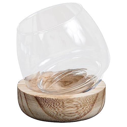 LIFKOME Holzboden für Aquarien, Mikro-Landschaftstopf, Schreibtischaufsatz, Orchideenschale, zum Aufhängen, Mikro-Landschaft, Globus, kleiner Ständer, Globusschale, Terrarium, Pflanze, Hydrokulturglas von LIFKOME