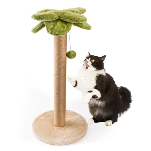 LIFLIX Kratzbaum Palme, stabiler 86,4 cm hoher Sisal-Kratzbaum mit interaktivem baumelnden Ball, niedlicher Katzenkratzer für erwachsene Katzen im Innenbereich von LIFLIX