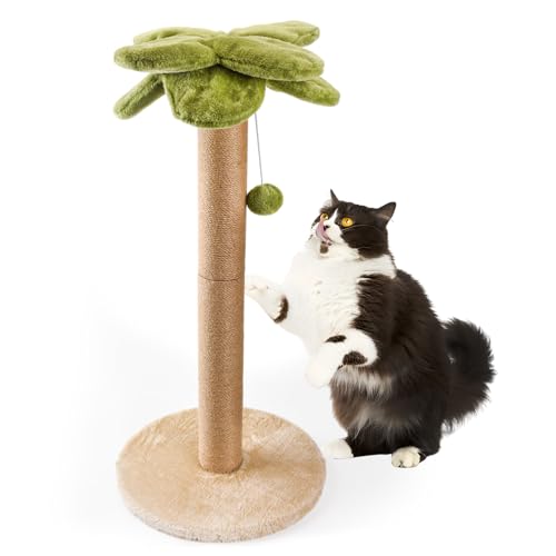 LIFLIX Kratzsäule für Katzen, 86cm Kratzstamm mit Hängendem Ball, Natürliches Sisalseil Katzen Kratzbaum für Große Katzen von LIFLIX