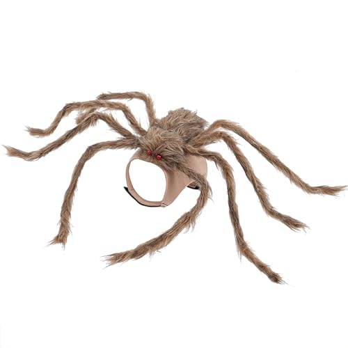 Arachnidenkostüm für Hunde, Halloween, Tier, weiche Spinnen, Mantel, Thema, Cosplay, Zubehör, Hundespinnen Arachnidenkostüm für Hunde, Halloween, Tier, weiche Spinnen, Mantel, Thema, Cosplay, Zubehör, Hundespinnen von LIGSLN
