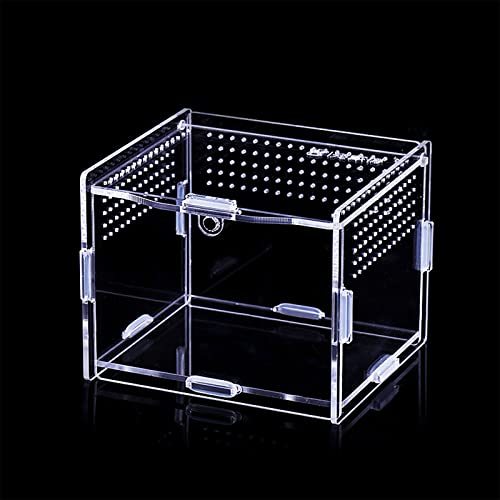 Futterbox Transparent Behälter Acryl Terrarium für Spinnen Kleine Schlange Reptilien Träger Einfach zu montieren Reptilien Futterbox Brutbox Acryl Mittel Groß Lebensraum Schlange Spinnen von LIGSLN