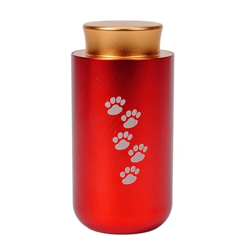 LIGSLN Einfache Asche Urne Gedenkschmuck Einäscherungsbox Metallglas Einäscherung Schmuck Urne Schatulle für Asche Haustier Asche Aufbewahrungsbehälter LIGSLN Einfache Asche Urne Gedenkschmuck Einäscherungsbox Metallglas Einäscherung Schmuck Urne Schatulle für Asche Haustier Asche Aufbewahrungsbehälter von LIGSLN