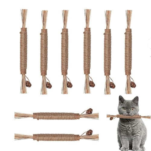 8 Stück Matatabi Stick Katze,Katzen mit Kaustangen Katzenminze Spielzeug Zahnpflege Knabberstangen Sticks Katzengras Beißstab Pfotenspass Katzenspielzeug Katzenzahnbürsten,für Cat Game Zahnreinigende von LILIKAI