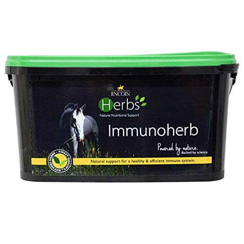 LINCOLN Kräuter Immunoherb Gesundheit Ergänzung - Immunoherb, 1kg von LINCOLN