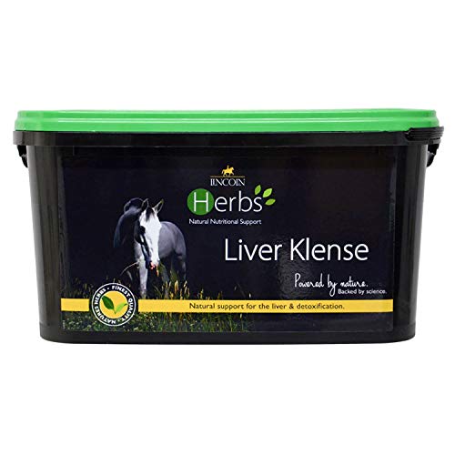 LINCOLN Kräuter Leber Klense Gesundheit Ergänzung - Leber Klense, 1kg von LINCOLN