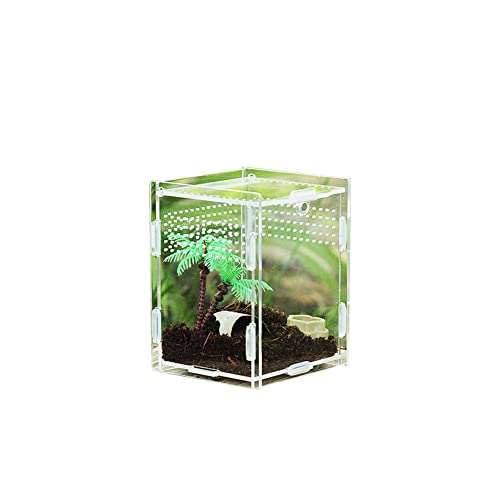 Kleine Reptilien-Terrarien | Magnetisches Reptilien-Terrarium für Haustiere, leichtes Acryl, große Fütterungstarantel für kleine Tiere von LINGJIONG