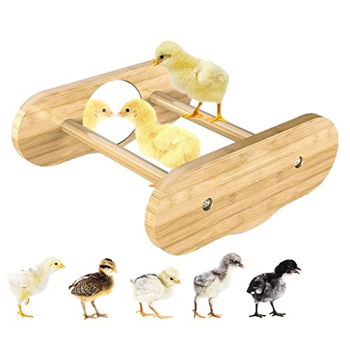 LINGJIONG Hühnerstallbarsch,Brutkasten für Küken mit Spiegel | Hens Handmade Barsch Stand Toy, Chicken Wood Stand Chicken Toy für große Vögel Henne Papagei von LINGJIONG