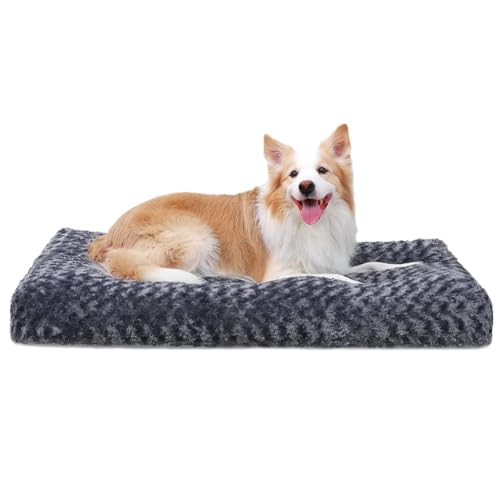 Hundebett Mittelgroße, Deluxe Plüsch Hundematte, Orthopädisches Hundebett, Hochwertiges Hundebett mit Rutschfestem Boden, Faltbar Hundematte, Waschbar und Strapazierfähig, 68*102cm, Dunkelgrau von LINGXIYA