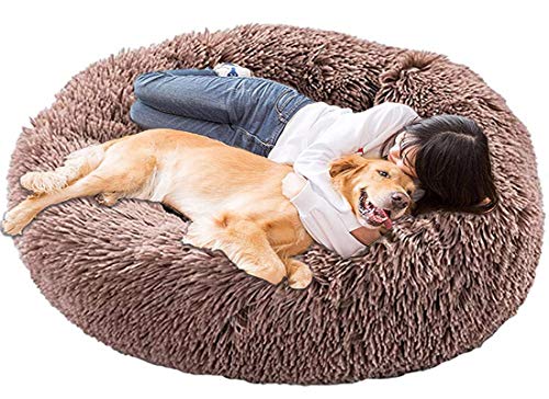 LINRUI Memory Foam XL Hundesofa Orthopädisches für Grosse Mittlere Hunde Hundekissen Waschbar Oval Hoch Hundebett Antistress Flauschiges Rund Kuschelig Hundehöhle XXL Donut Braun von LINRUI