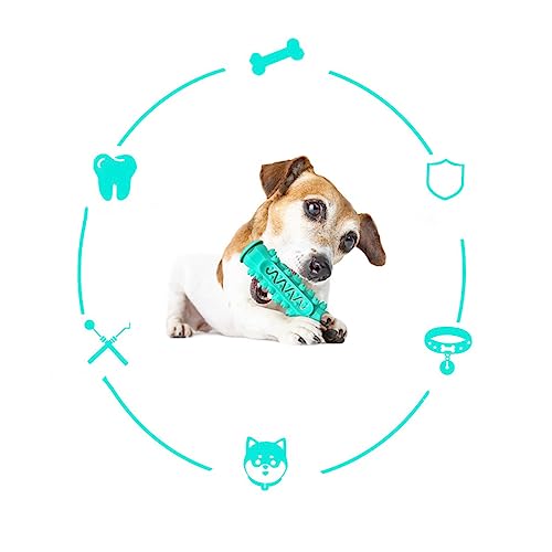 LIOOBO 1 Stück Spielzeugschleifenstäbchen Hundespielzeug Puzzlespielzeug Für Hunde Hund Zahnbürste Reinigung Schleifspielzeug Für Hunde Haustier Welpe Zahnen Beissen Blau LIOOBO 1 Stück Spielzeugschleifenstäbchen Hundespielzeug Puzzlespielzeug Für Hunde Hund Zahnbürste Reinigung Schleifspielzeug Für Hunde Haustier Welpe Zahnen Beissen Blau von LIOOBO