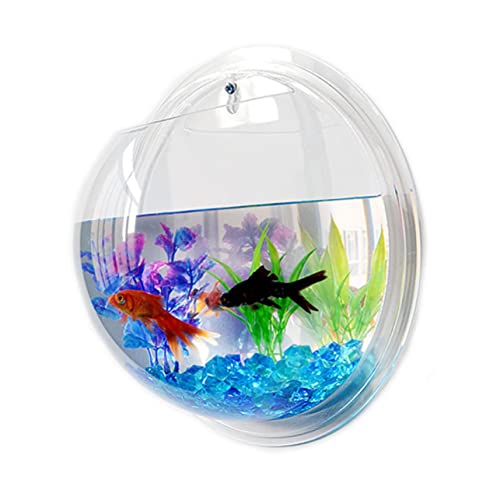 LIOOBO Hängendes Wand Aquarium aus Durchmesser für Dekoration Ihres Platzsparend und Geeignet für Fische oder Pflanzen Einfache Wandmontage Zufällige Farbe LIOOBO Hängendes Wand Aquarium aus Durchmesser für Dekoration Ihres Platzsparend und Geeignet für Fische oder Pflanzen Einfache Wandmontage Zufällige Farbe von LIOOBO