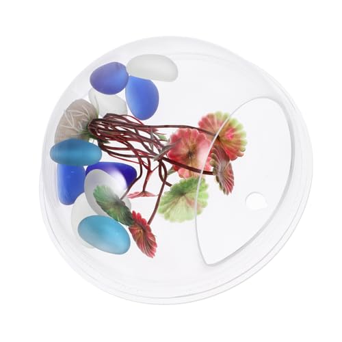 LIOOBO Wandmontierter Transparenter Fischtank Durchmesser Hängendes Aquarium für Dekorative Raumgestaltung und Platzersparnis für Fische und Pflanzen LIOOBO Wandmontierter Transparenter Fischtank Durchmesser Hängendes Aquarium für Dekorative Raumgestaltung und Platzersparnis für Fische und Pflanzen von LIOOBO