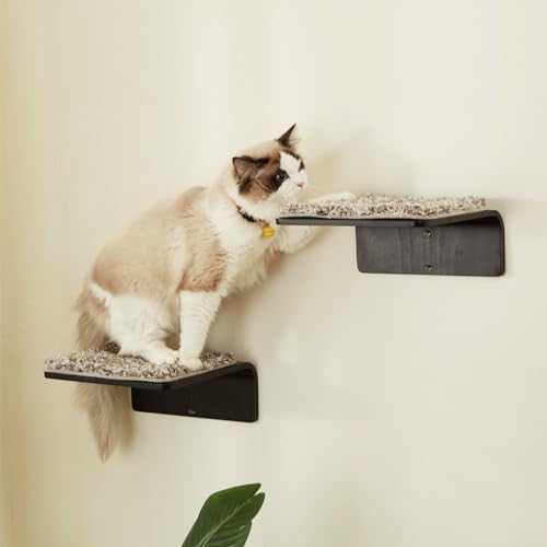 LIORCE 2 Set Katzen-Wandstufen - Katzen-Kletterregal aus Holz für die Wand - Katzenwandtreppe mit Kratzmatte - Wandmontierte Katzenmöbel zum Springen, Spielen und Faulenzen, Walnuss von LIORCE