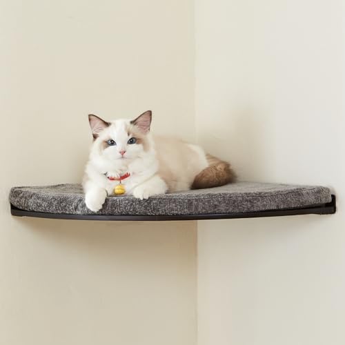 LIORCE Eck-Katzenbett zur Wandmontage – Katzenregal mit bequemem Kissen – Minimalistisches Katzenmöbel für Indoor-Katzen – Kletterkatzen-Sitzstange für Wand, Walnuss von LIORCE