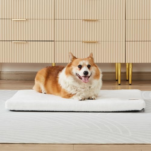 LIORCE Memory Foam Dog Crate Pad – Medium Dog Bed Mat for Crate with Removable Washable Cover and Waterproof Lining – Orthopädische Haustierbettmatte für mittelgroße Hunde – Design für 76,2 cm von LIORCE