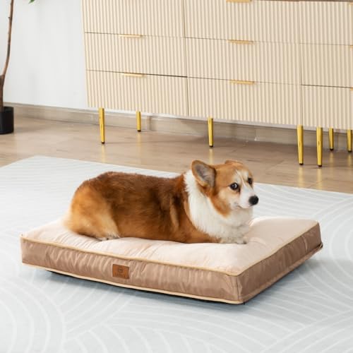 LIORCE Shredded Memory Foam Hundebett Kissen, 12,7 cm dick, großes Hundebett, wasserdicht, orthopädische Haustierbett-Matte mit abnehmbarem, waschbarem Bezug, Beige von LIORCE