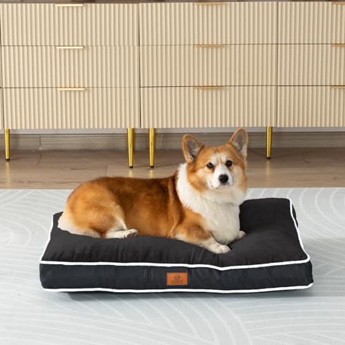 LIORCE Shredded Memory Foam Hundebett Kissen, 12,7 cm dick, mittelgroß, wasserdicht, orthopädische Haustierbett-Matte mit abnehmbarem, waschbarem Bezug, Schwarz von LIORCE