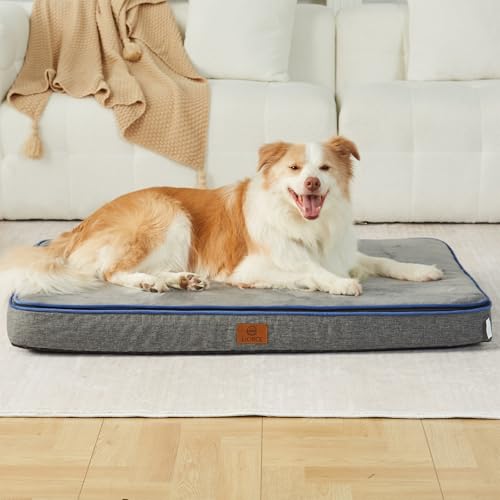 LIORCE XL Hundebett aus Memory-Schaum – orthopädisches, wasserdichtes Hundebett für die Box mit abnehmbarem, waschbarem Bezug (Oberseite kann getrennt werden) – 10,2 cm dicke Haustierbettmatte mit von LIORCE